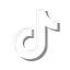 Tiktok Logo